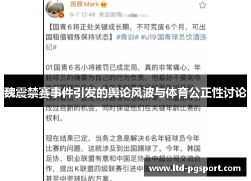 魏震禁赛事件引发的舆论风波与体育公正性讨论